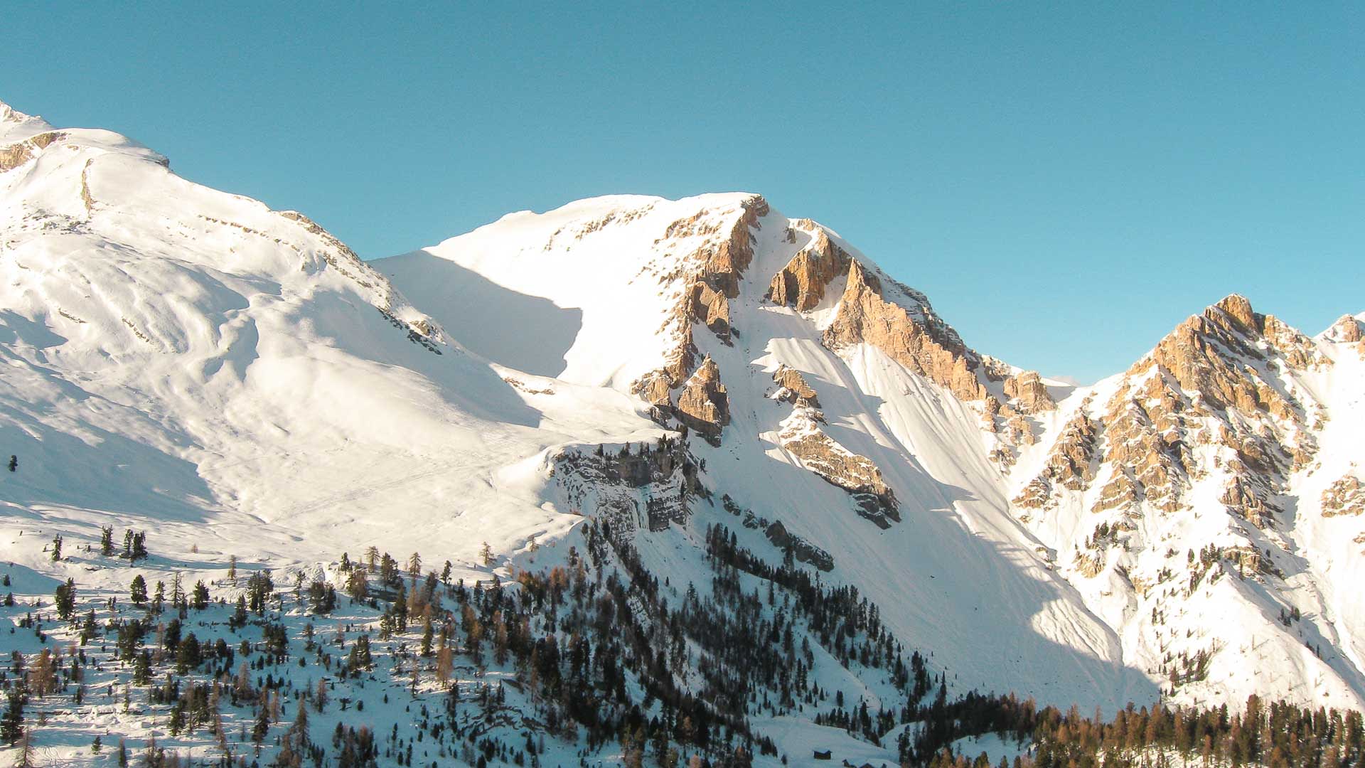 Skitouren Dolomiten: Winterpanorama der Fanes Alm mit Lavarella-Felsmassiv, Schneeplateau und Lärchen unter blauem Himmel.