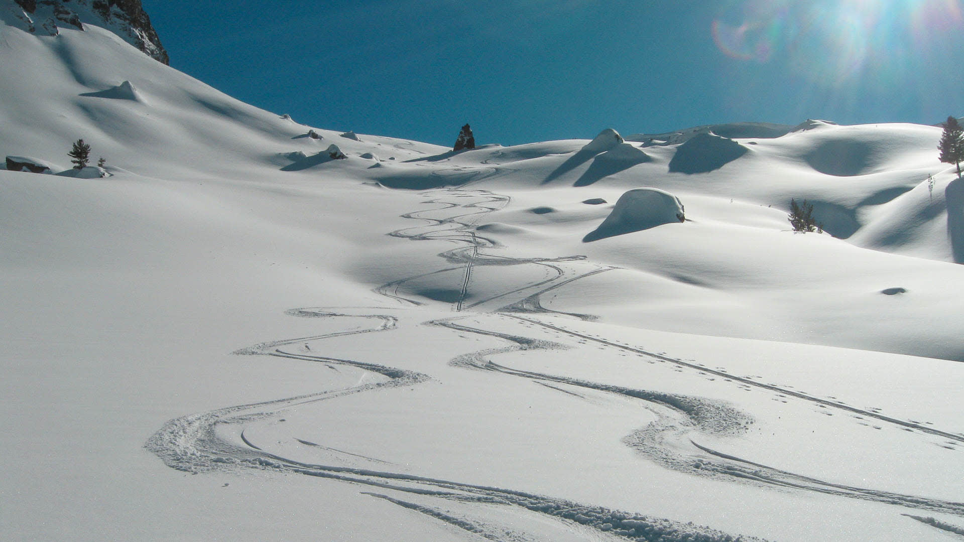 Skitour in Montenegro: unberührter Pulverschneehang mit geschwungenen Abfahrtsspuren unter klarem Winterhimmel.