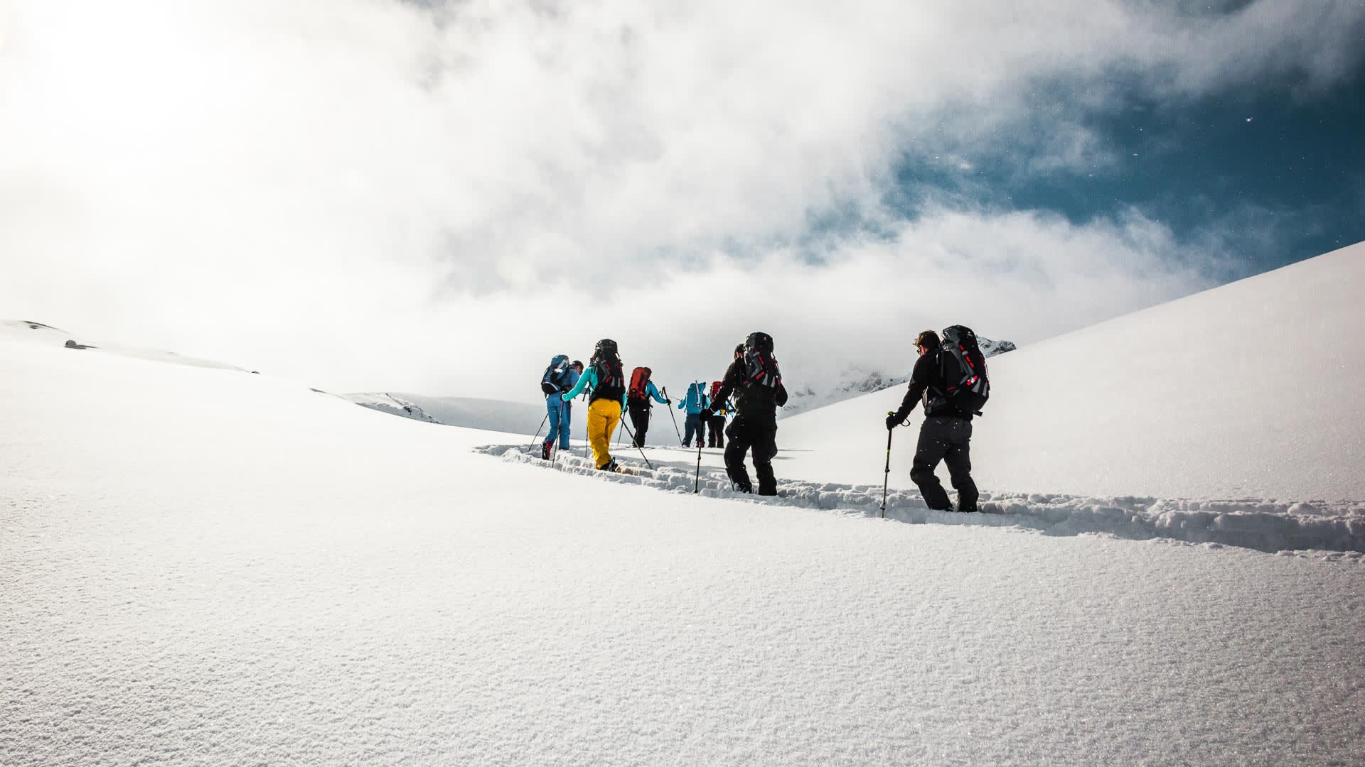 Sieben Skitourengeher steigen mit Fellen in einer Reihe eine Aufstiegsspur durch Pulverschnee in der Silvretta