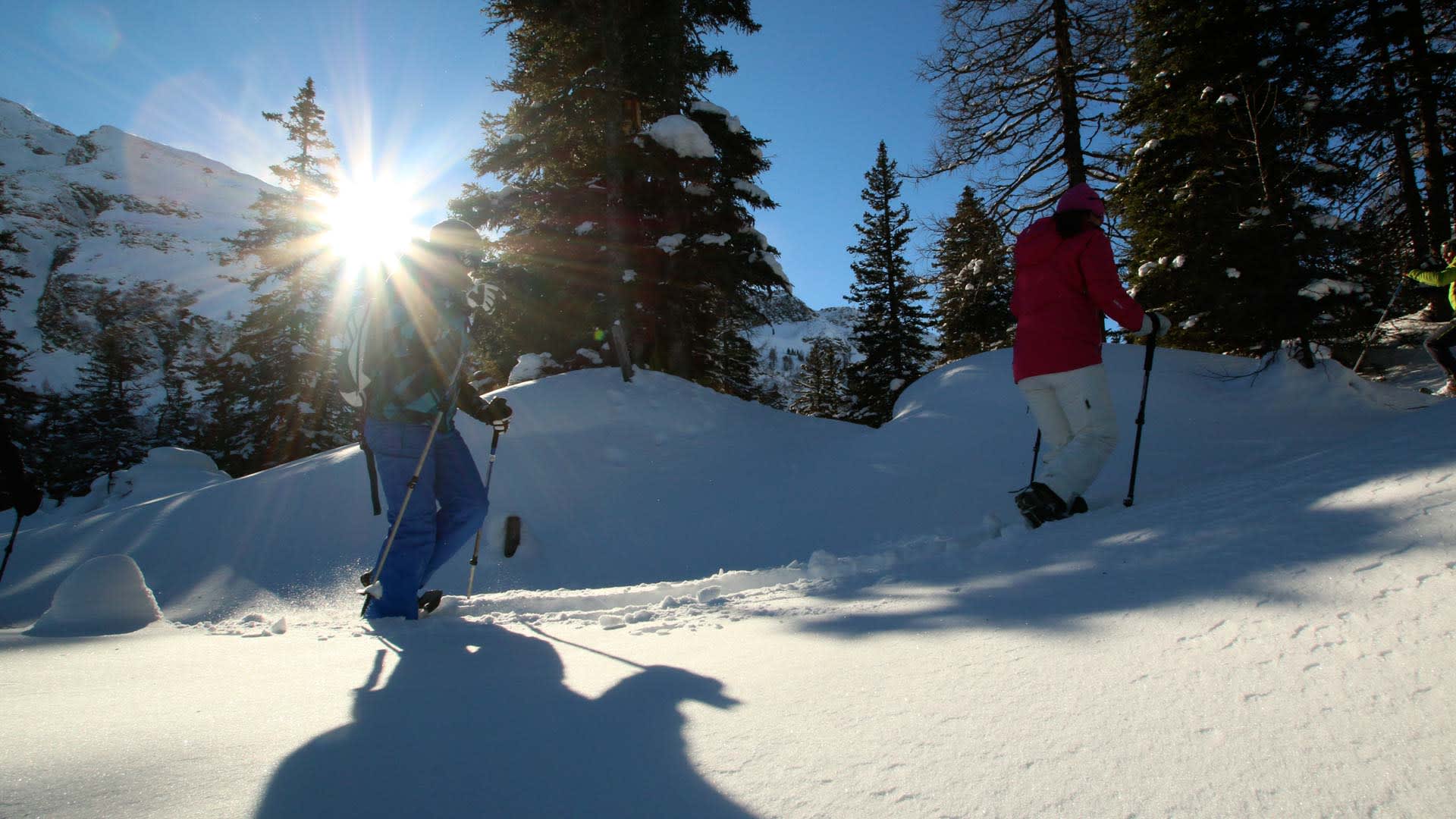 Zwei Personen auf einer Skitour im Rauriser Tal steigen durch tiefen Pulverschnee auf, Nadelwald und schneebedeckter Gipfel