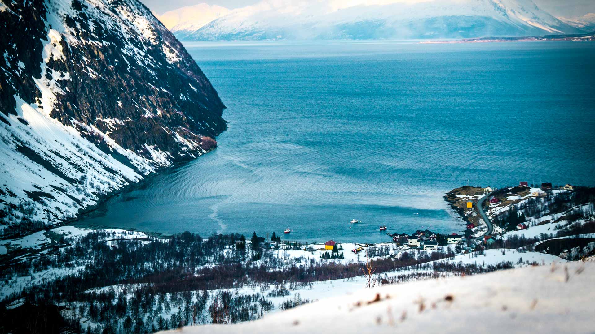 Vogelperspektive auf die Siedlung Koppangen am Lyngenfjord mit Hafen und schneebedeckten Bergen im Winter.