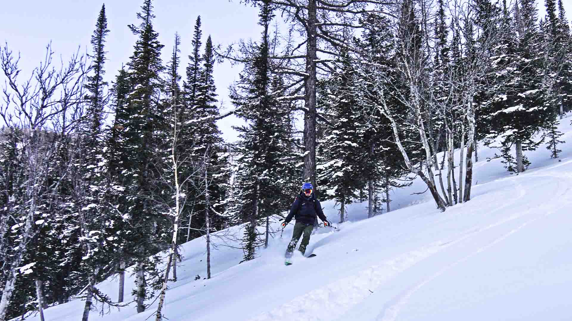 Skitourengeher bei Tiefschnee-Abfahrt durch Mischwald im Altai bei Ridder, Kasachstan.