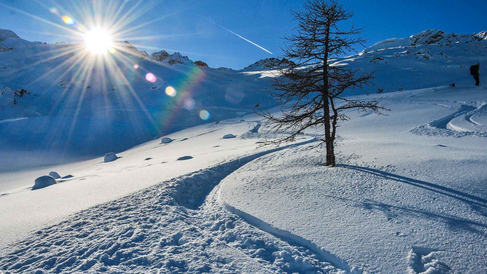 Skitourengeher im Tiefschnee an der Alpspitze bei Garmisch, Sonnenstern und blattloser Baum im Vordergrund.