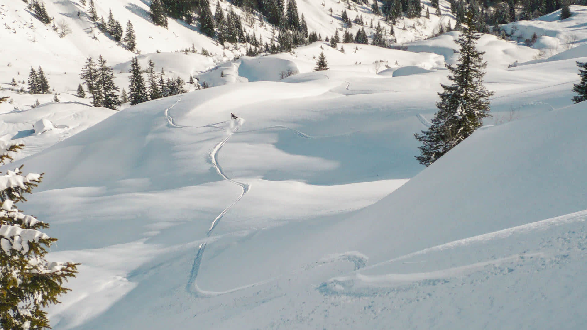 Skitour Tiefschneeabfahrt zur Lavarella Hütte: Skitourengeher zieht Spur durch Pulverschnee auf der Fanes Alm.