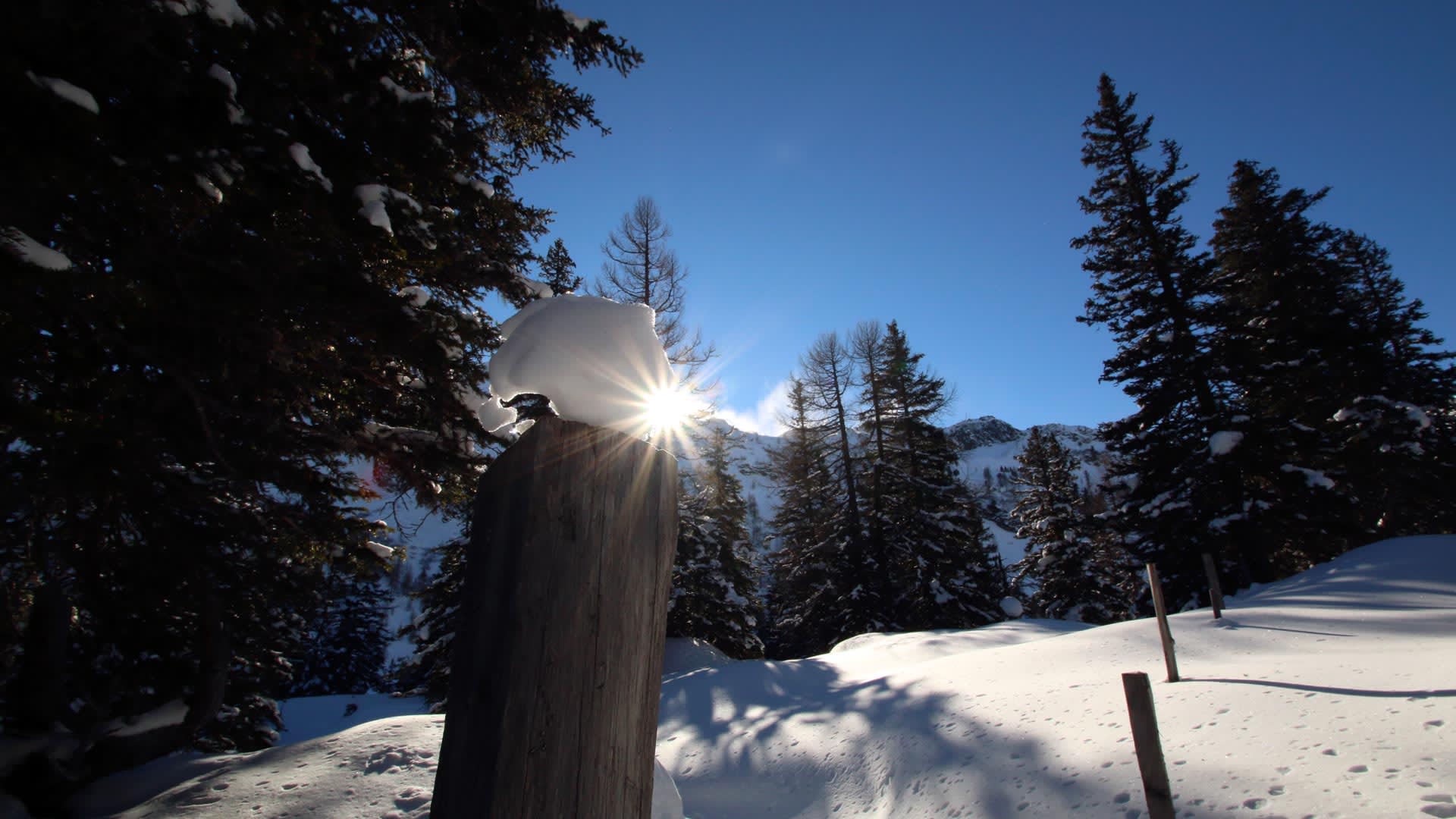 Schneebedeckter Holzpfosten mit Sonnenstern-Effekt und Nadelwald auf der Skitour zum Rauriser Sonnblick im Winter.