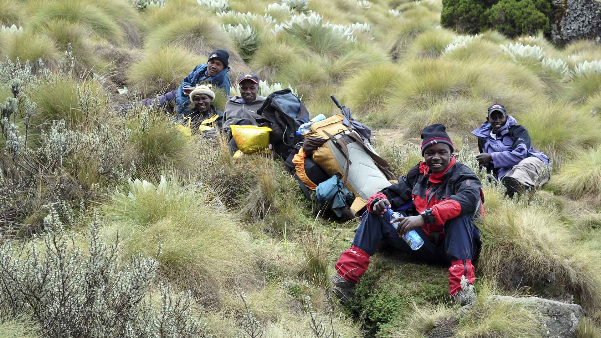 Trekking am Mount Kenia: Fünf Trekker pausieren auf einem Berghang mit Hochgebirgsvegetation aus Grasbüscheln und Sukkulenten.