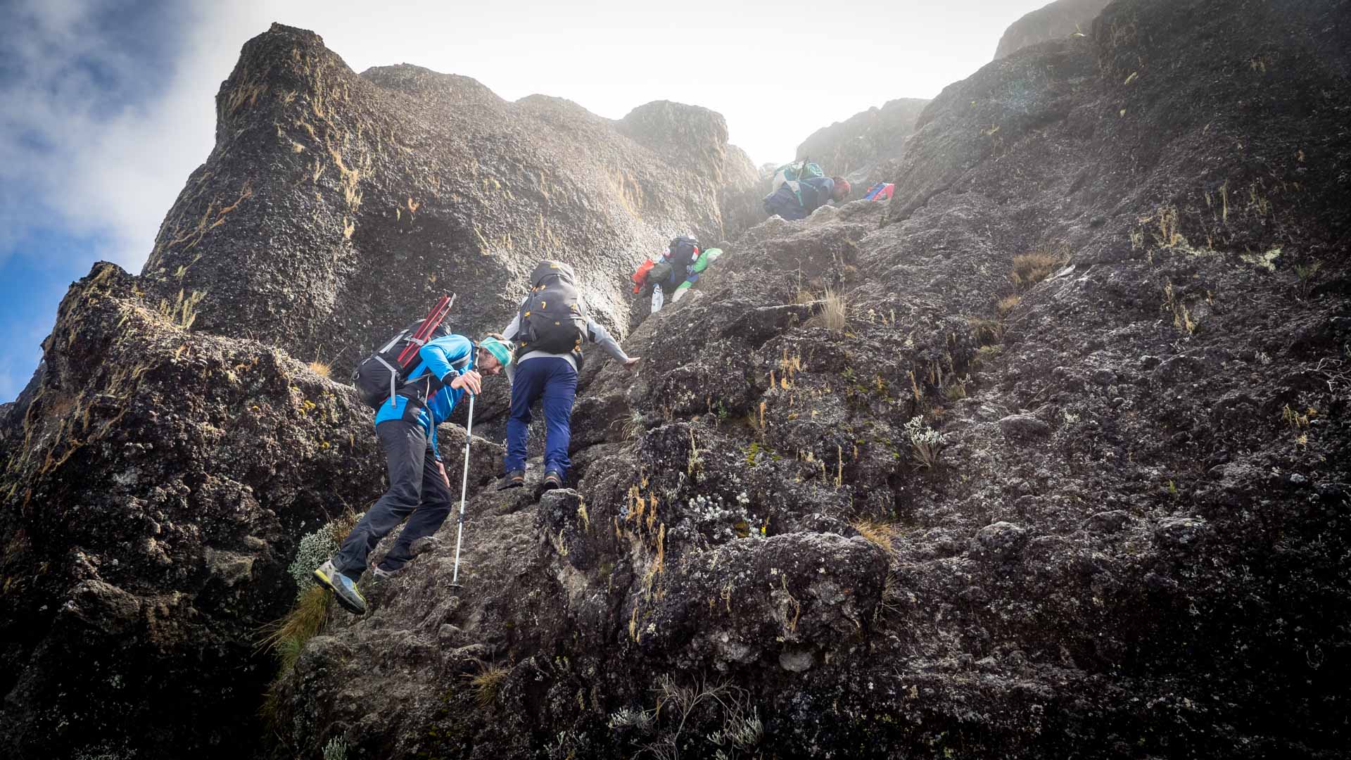 Drei Bergsteiger klettern aufsteigend die steile Felswand der Breach Wall am Kilimandscharo mit Rucksäcken und Wanderstöcken.