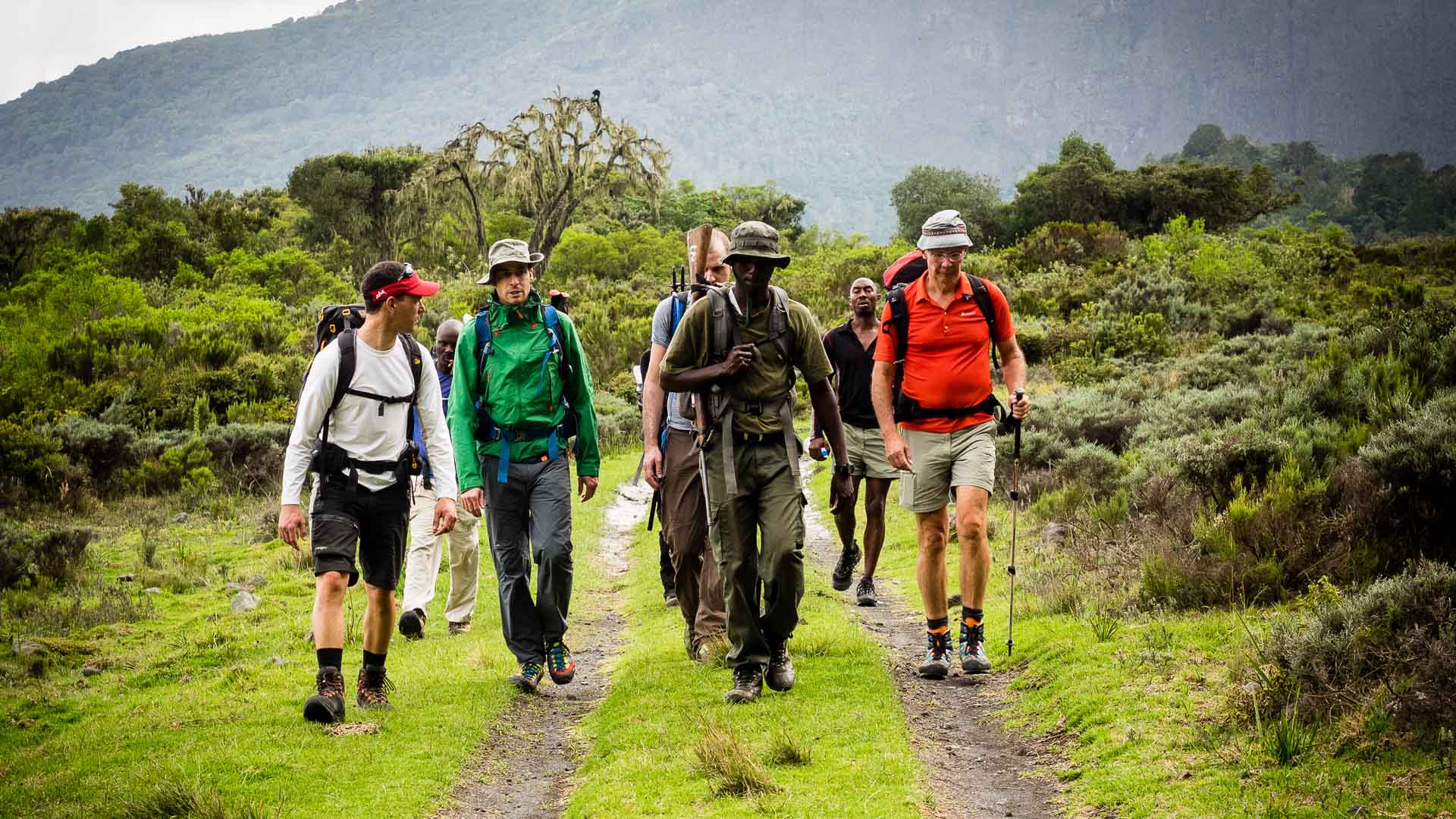 Trekkergruppe mit deutschem und einheimischem Führer auf Erdweg durch grüne Bergzone am Kilimandscharo.