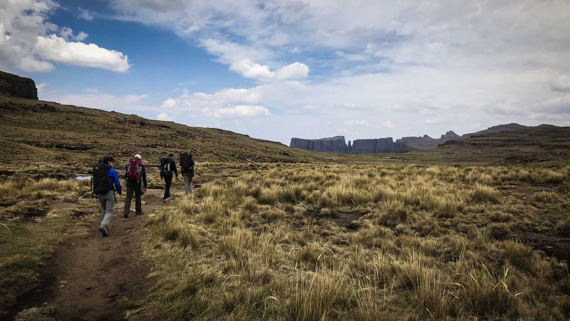 Trekking auf dem Drakensberge-Plateau: Vier Trekker mit Rucksäcken auf Erdpfad durch goldbraunes Grasland vor Tafelberg-Felsen.