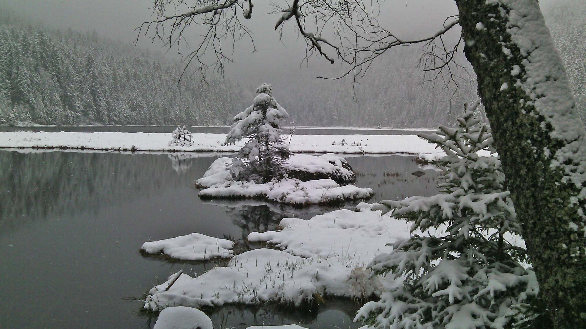 Winterwanderung am Bergsee im Bayerischen Wald: verschneite Inseln und Landzungen im grauen Winterlicht.