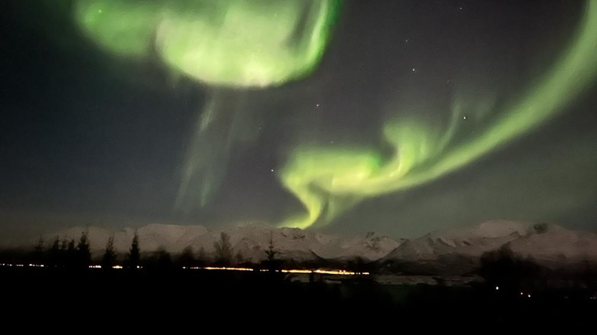 Winterwanderung in den Lyngen Alps: grüne Polarlichter über schneebedeckten Bergen und Nadelbaum-Silhouetten bei Nacht.
