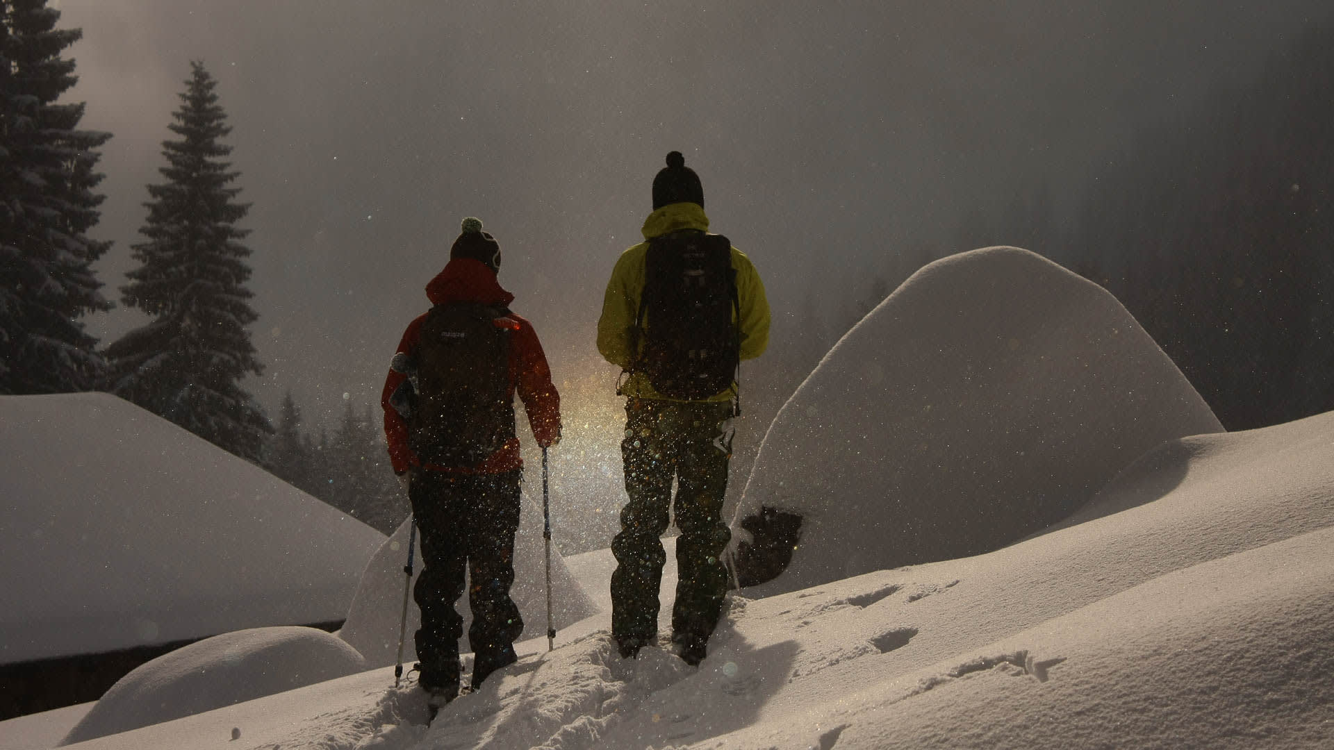 Zwei Personen bei einer Winterwanderung am Spitzingsee stehen im Pulverschnee zwischen schneebedeckten Fichten bei Dämmerung