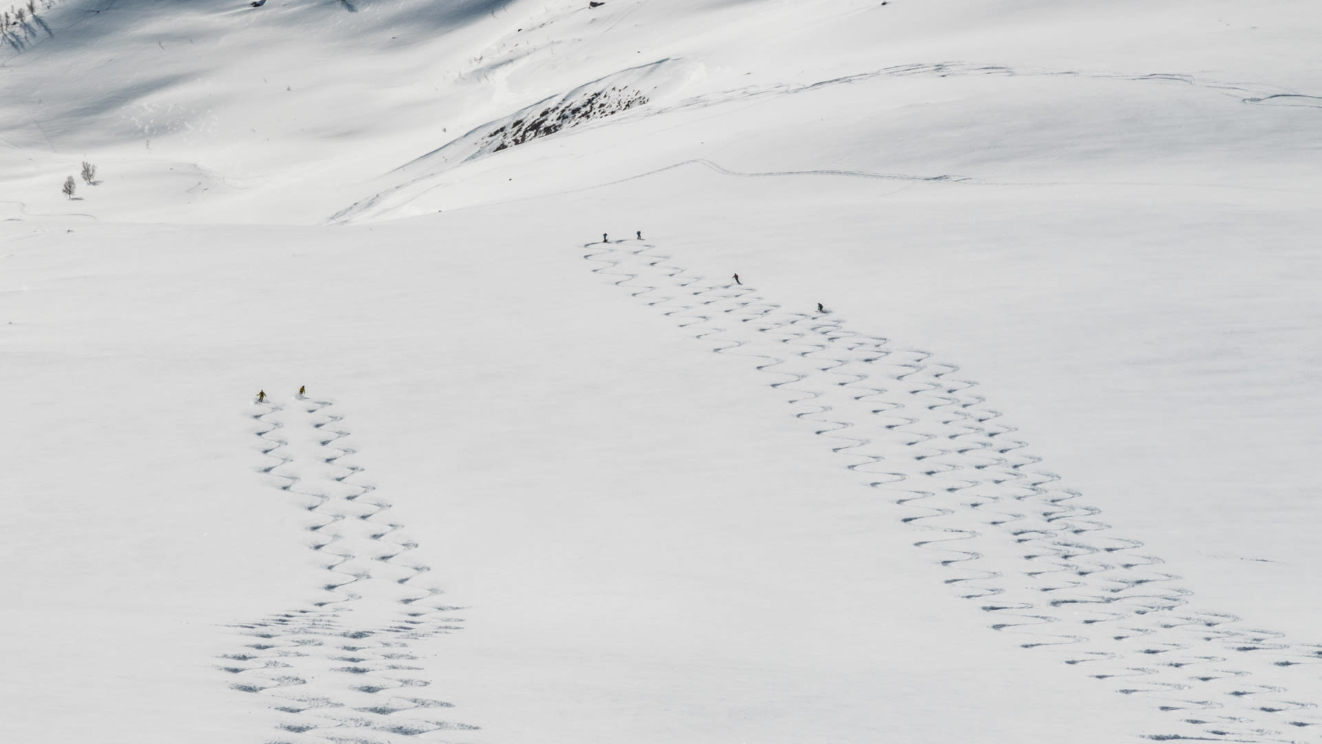Sechs Skitourengeher fahren in zwei Gruppen durch Pulverschnee an einem weitläufigen Hang in den Lyngen Alps ab.