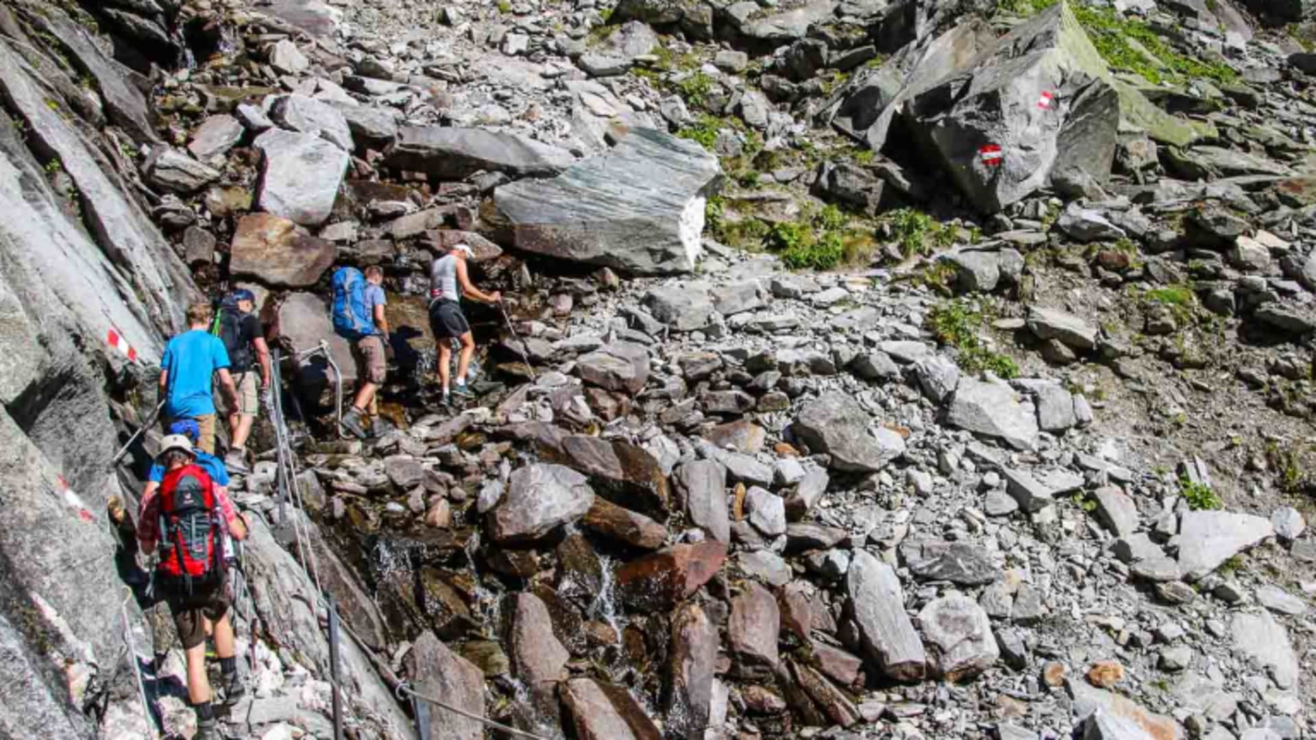 Hochtour am Anstieg zur Kürsinger Hütte: Vier Bergsteiger auf gesichertem Felsweg mit Stahlseilen und rot-weißer Wegmarkierung