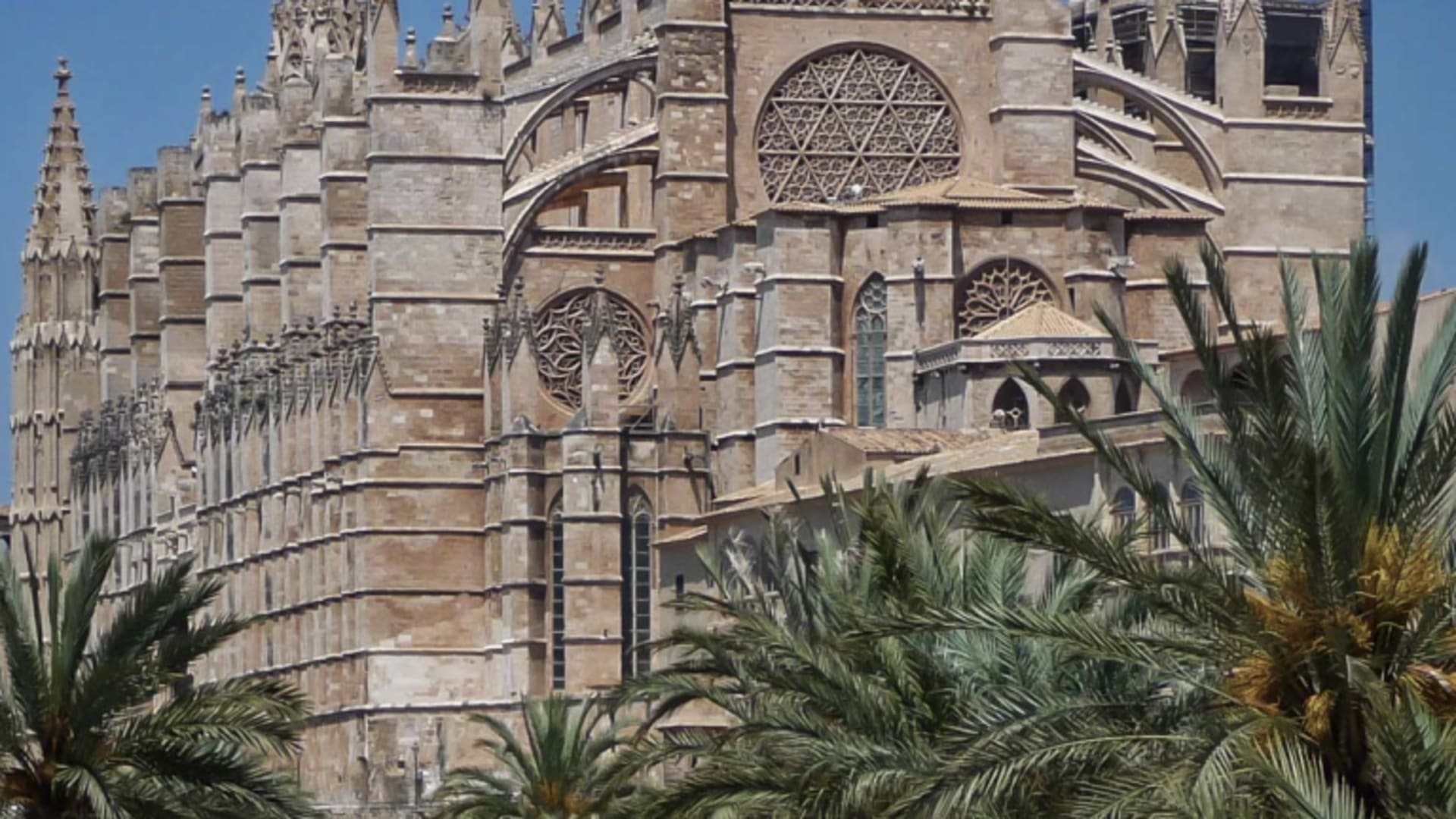 Klettern auf Mallorca: Gotische Kathedrale von Palma de Mallorca aus hellem Sandstein mit Palmenallee