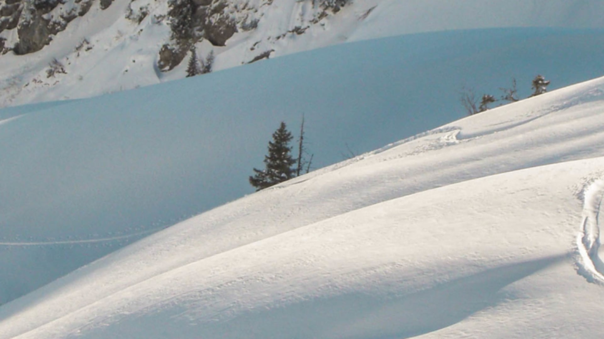 Freerider in blauer Jacke fährt auf einer Skitour in den Alpen unberührten Tiefschneehang ab.