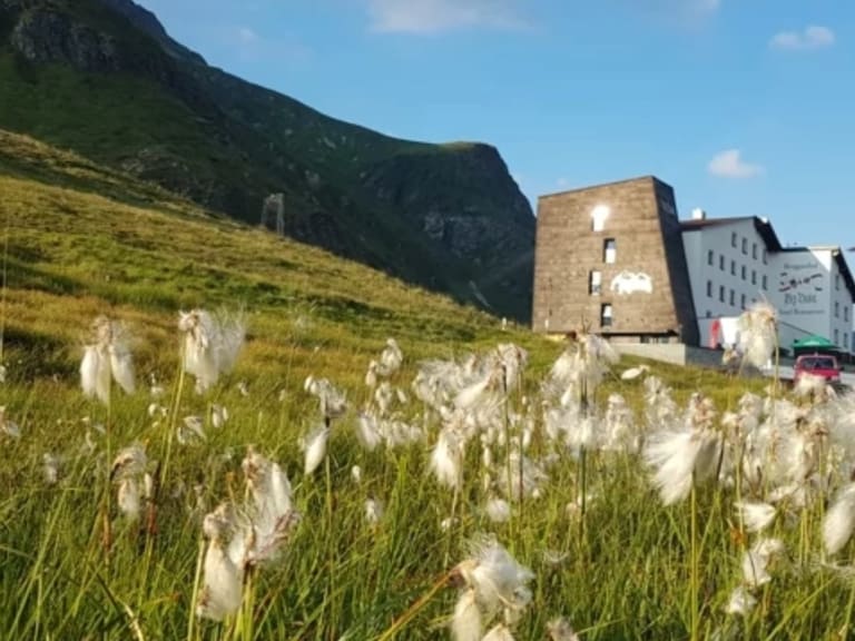 Sommeraufnahme des Berggasthof Piz Buin mit blühenden Wollgras-Samenständen im Vordergrund auf der Bieler Höhe.