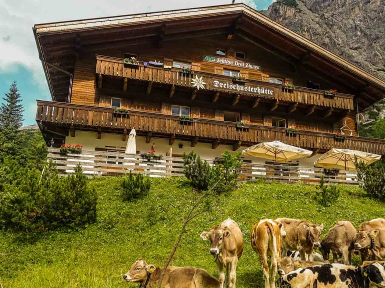 Kühe grasen auf der Almwiese vor der Drei Schuster Hütte mit traditioneller Holzarchitektur.