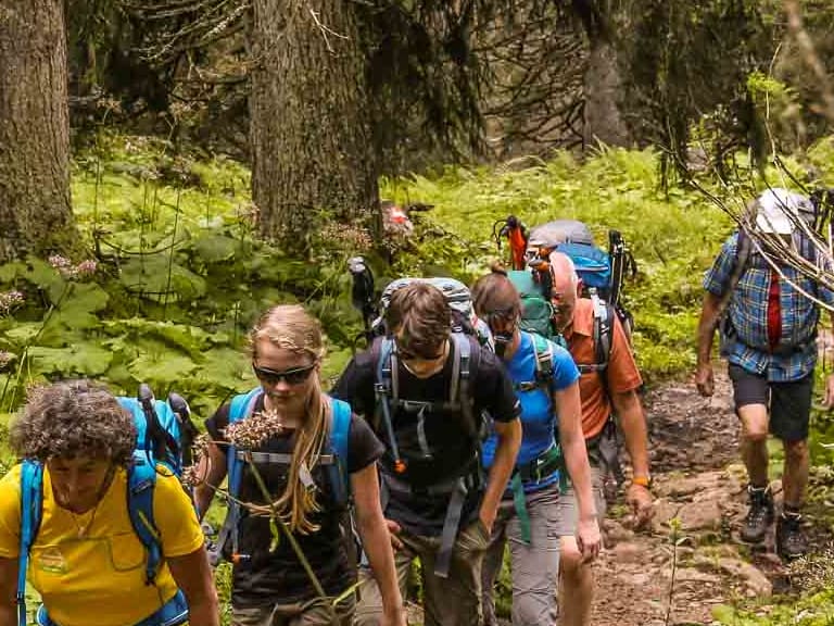 Bergwanderführerin Irene Aschauer führt eine siebenköpfige Wandergruppe auf einem erdigen Waldweg durch dichten Mischwald.