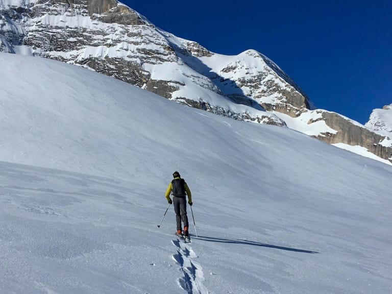 In gelber Jacke steigt Bergführer Tommaso Cappelletto mit Tourenskiern durch unberührten Pulverschnee am Gletscherhang auf.