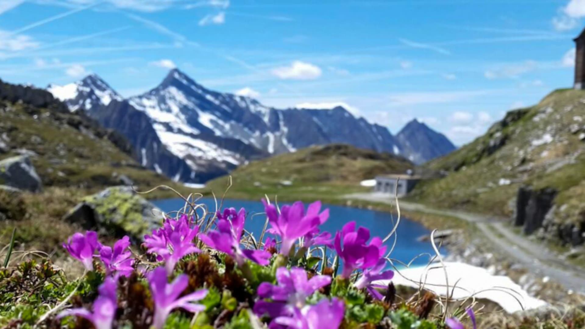 Pfitscherjoch Haus – Berghütte im Zillertaler Alpen, Alpine Welten Bergsteigerschule.