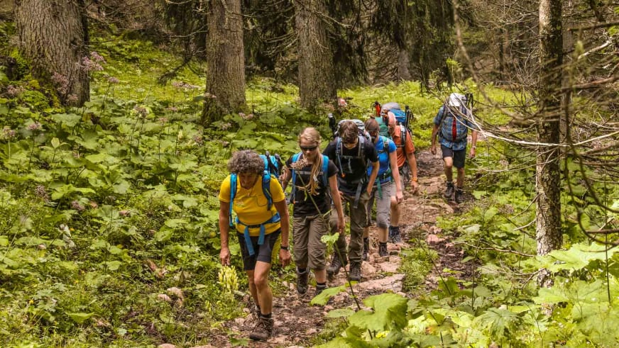 Bergwanderführerin Irene Aschauer führt eine siebenköpfige Wandergruppe auf einem erdigen Waldweg durch dichten Mischwald.