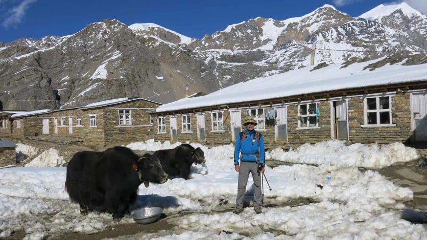 Bergwanderführer Werner Neubauer steht mit Trekkingstöcken vor traditionellem Steingebäude, im Vordergrund liegen zwei schwarze Yaks im Schnee.