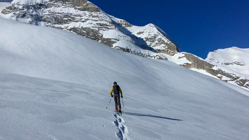 In gelber Jacke steigt Bergführer Tommaso Cappelletto mit Tourenskiern durch unberührten Pulverschnee am Gletscherhang auf.