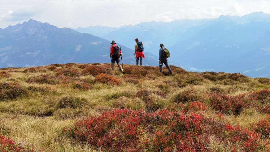 Drei Wanderer mit Rucksäcken und Wanderstöcken bewegen sich über welliges Plateau, Bergwanderführer Christoph Knappe trägt rote Jacke.