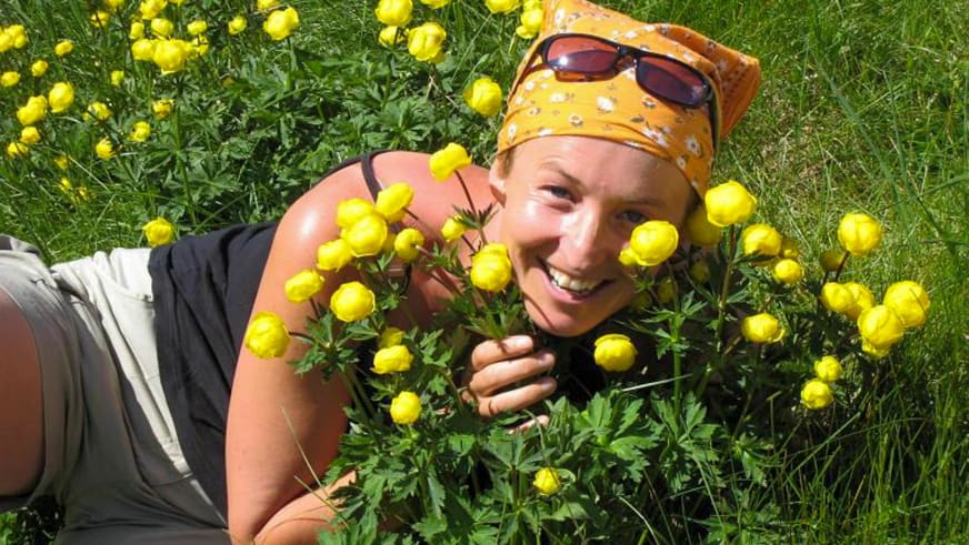 Umgeben von gelben Trollblumen liegt Bergwanderführerin Birgit Eder auf grüner Wiese mit orangefarbenem Kopftuch.