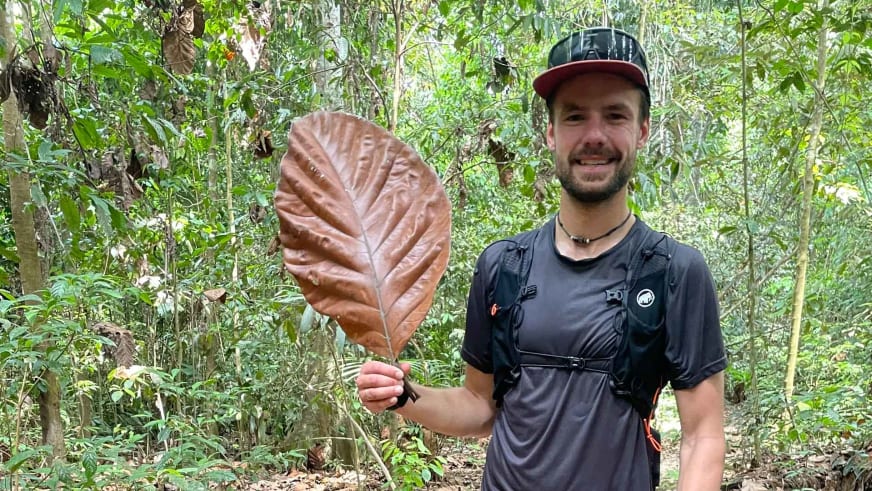 Bergführer Tim Lenz lächelt in schwarz-roter Kappe und hält ein großes braunes Blatt im tropischen Regenwald.