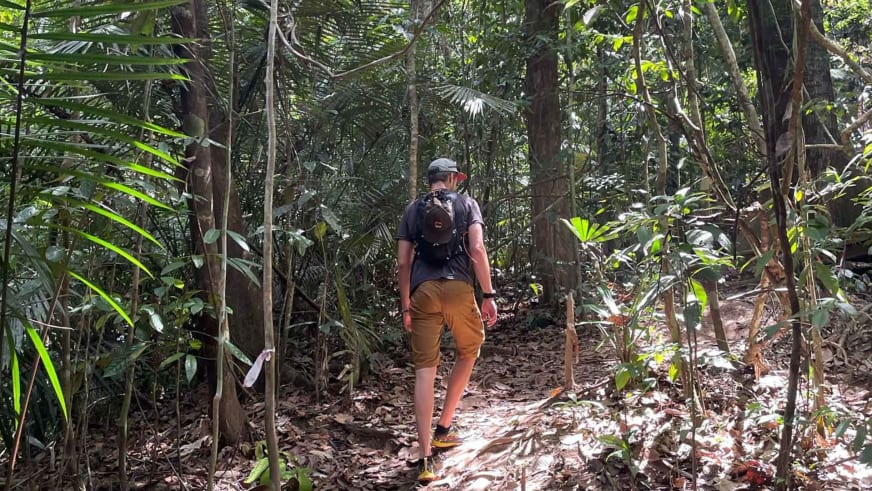 Bergführer Tim Lenz wandert bergaufwärts auf Erdweg durch dichten tropischen Regenwald.