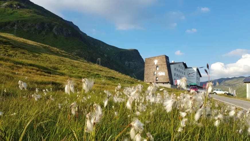 Sommeraufnahme des Berggasthof Piz Buin mit blühenden Wollgras-Samenständen im Vordergrund auf der Bieler Höhe.