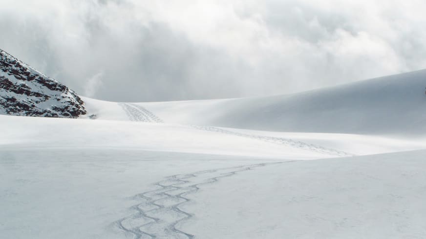 Weitläufige Gletscherlandschaft mit Skispuren im Firn zeigt die Tourenführung von Bergführer Felix Gruber durch das Hochgebirge.