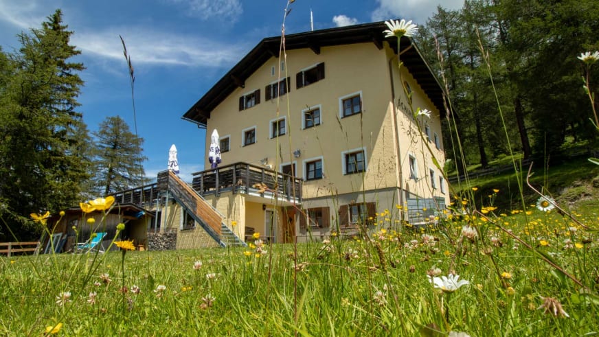 Die Schihütte Zams mit gelber Fassade und Holzterrasse inmitten einer bunten Blumenwiese bei Sonnenschein.