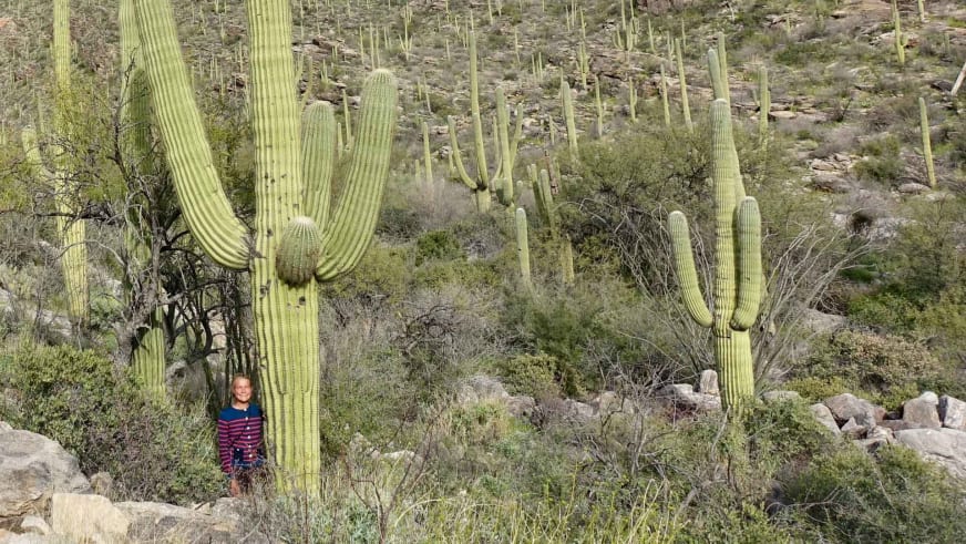 Bergwanderführerin Nora Coenen steht in gestreiftem Oberteil neben einem großen Saguaro-Kaktus in der Wüstenlandschaft.