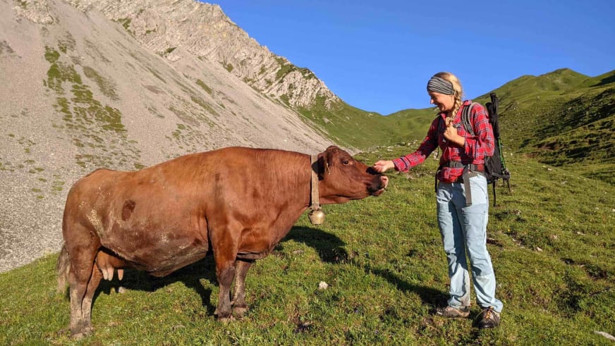 Auf grüner Almwiese streichelt Bergwanderführerin Bernadette Schnabl eine braune Kuh mit Glocke vor Kalksteinhängen.