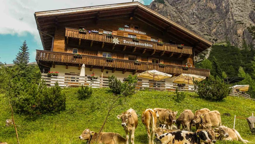 Kühe grasen auf der Almwiese vor der Drei Schuster Hütte mit traditioneller Holzarchitektur.