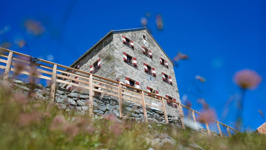 Die Neue Prager Hütte aus Naturstein mit rot-weißen Fensterrahmen zwischen blühenden Alpenblumen im Sommer.