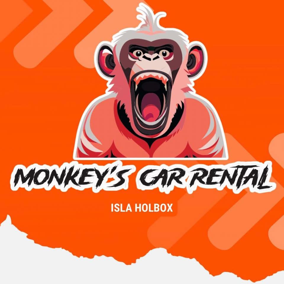 Rentadora Holbox Monkeys