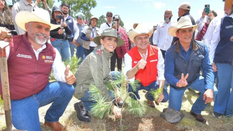 Participa directora de la Lotería Nacional en Jornada Nacional de Reforestación