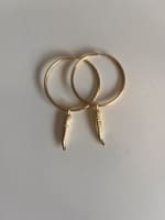 Aros Horn