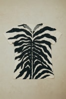 REMERA RIVADAVIA | ZEBRA