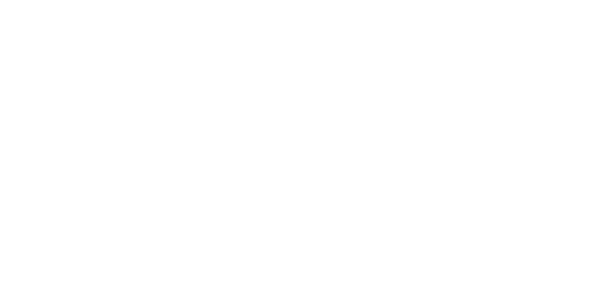 Anima Basics