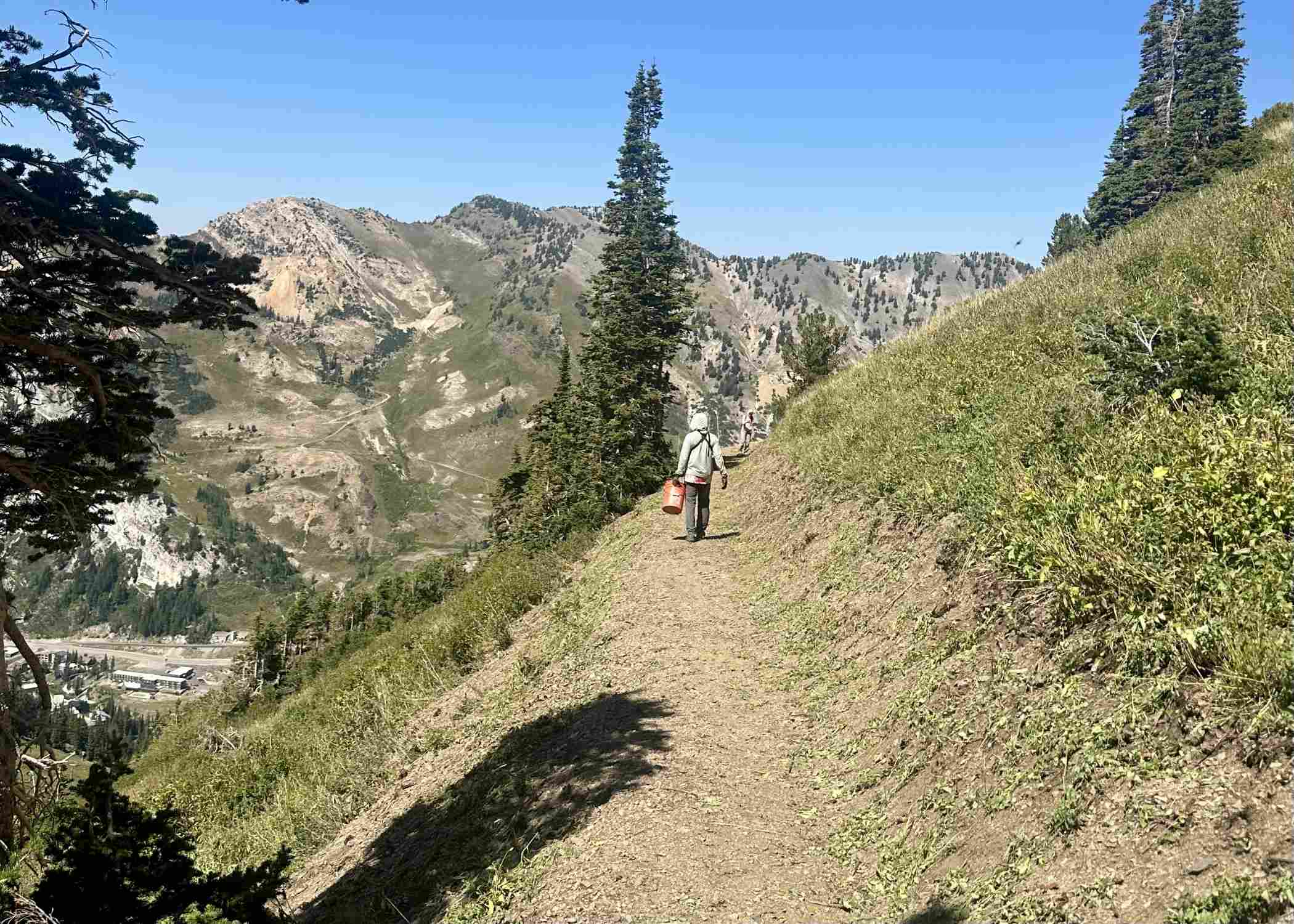 Mulching the High Traverse
