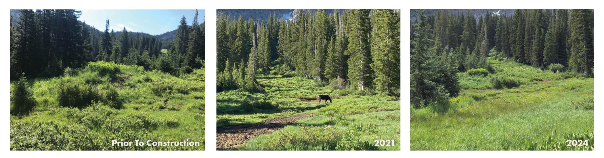 Berm excavation project before, during and after
