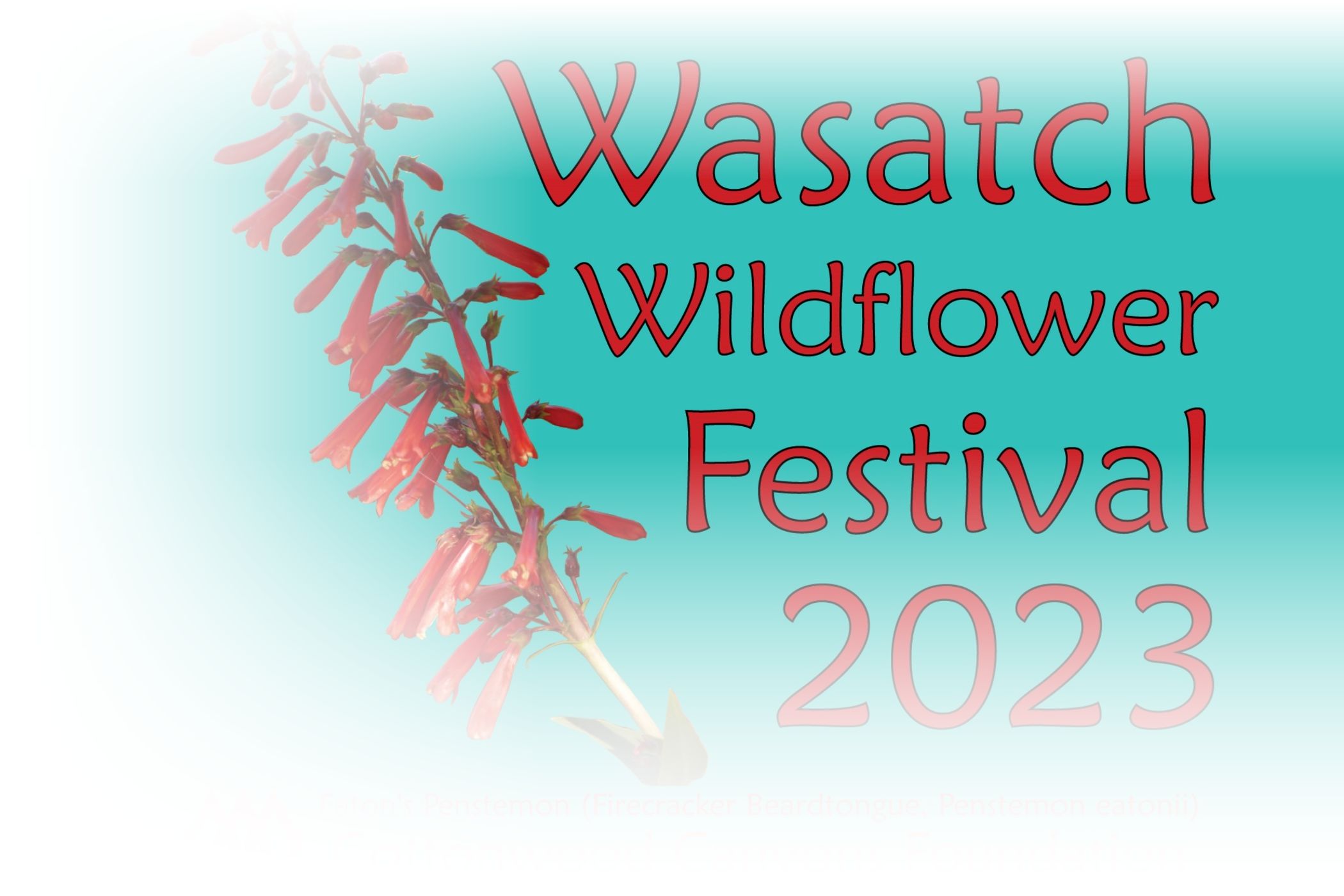 Wasatch Wildflower Festival