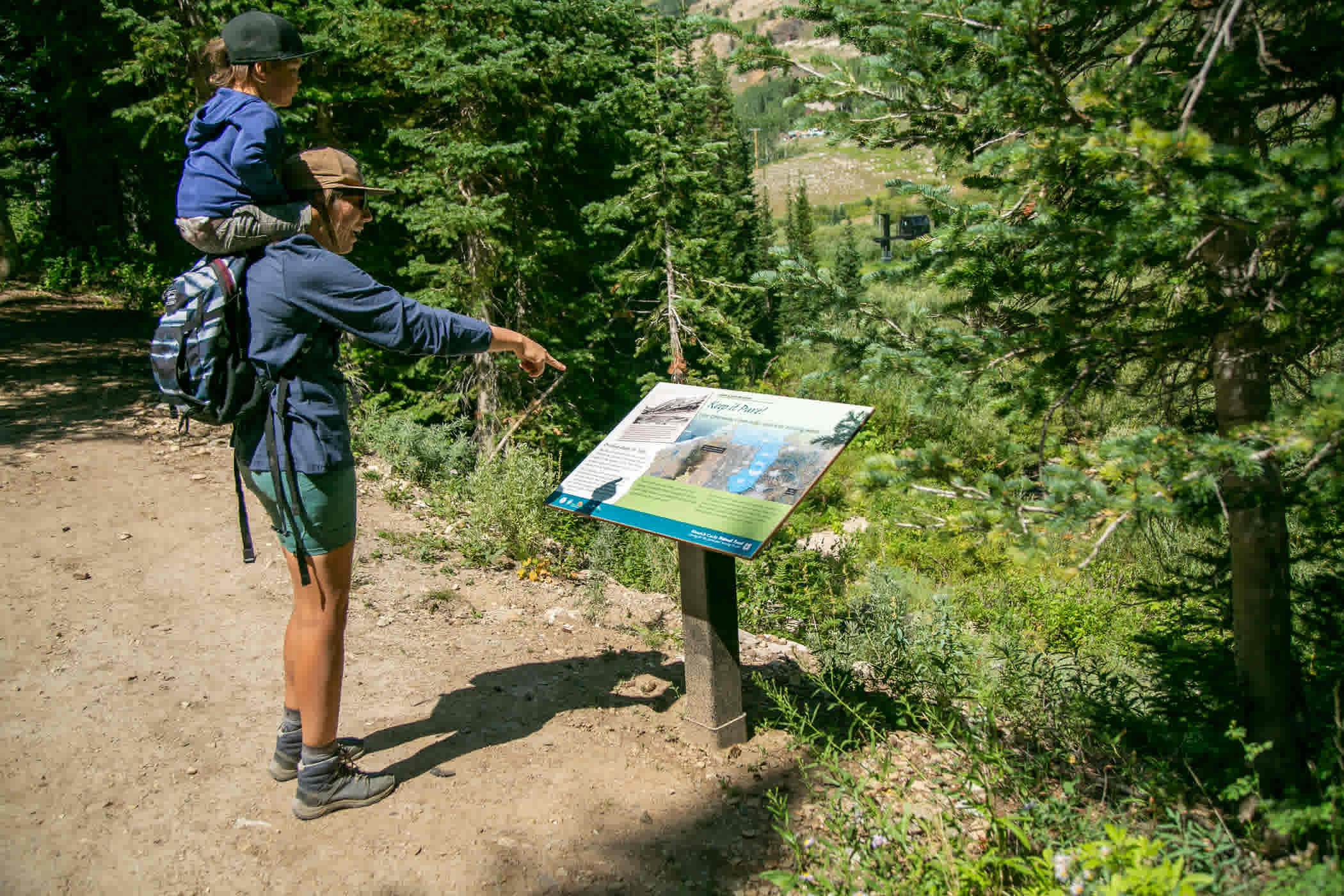 Interpretive signs on the Lower Albion Meadows Trail