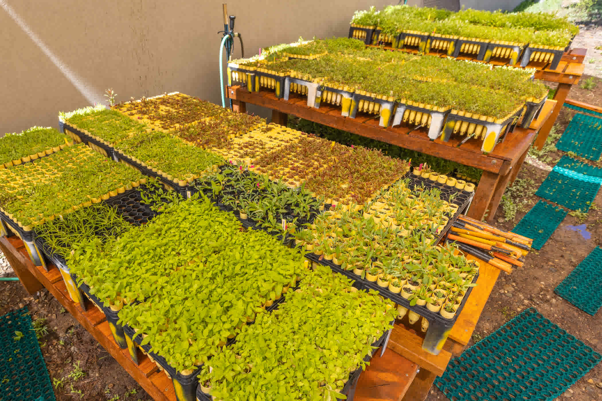 AEC plant nursery tables made from reclaimed wood