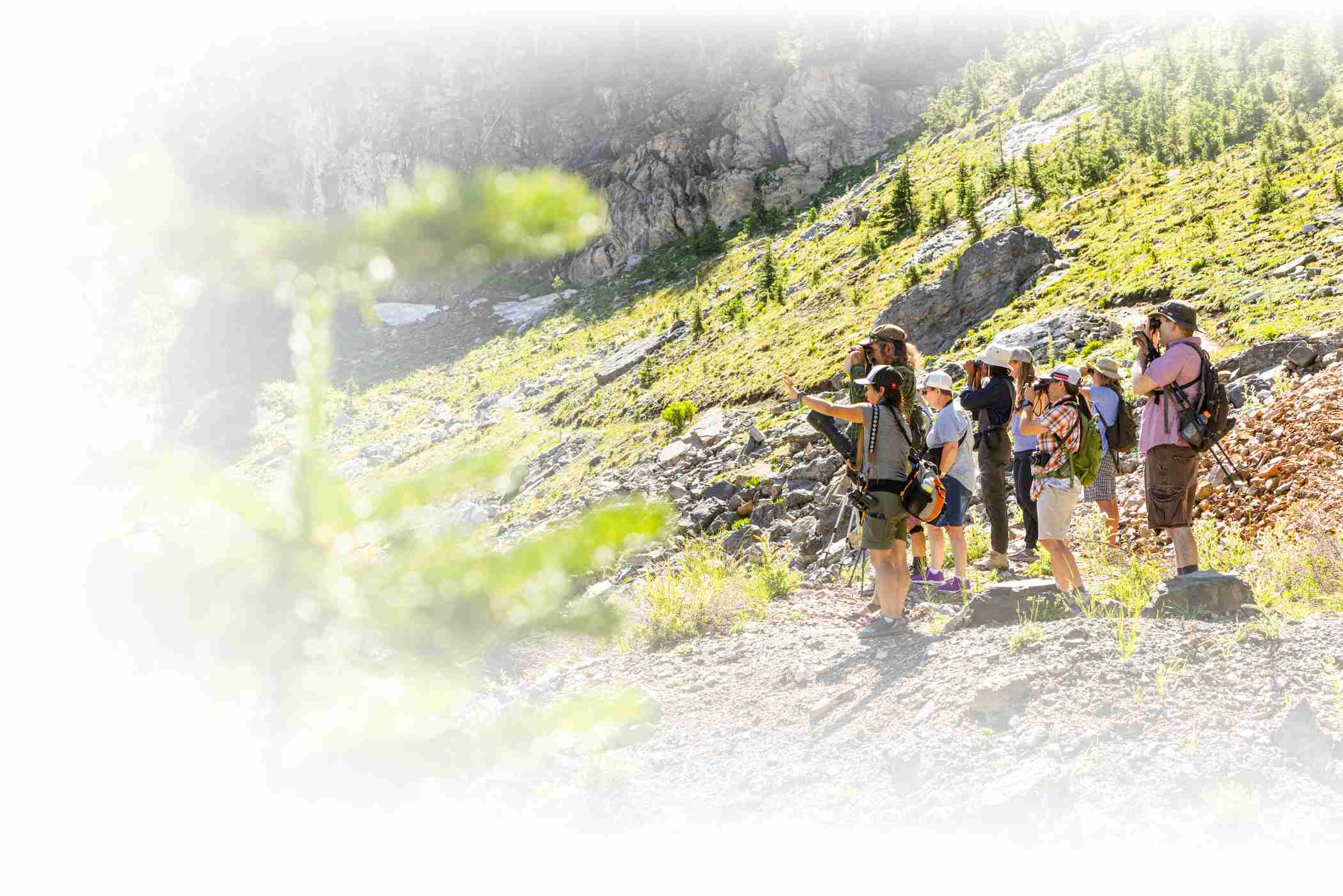 Group of birders on a birding hike through Devils Castle